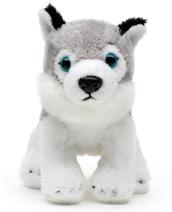 Peluche Husky Assis Uni Toys