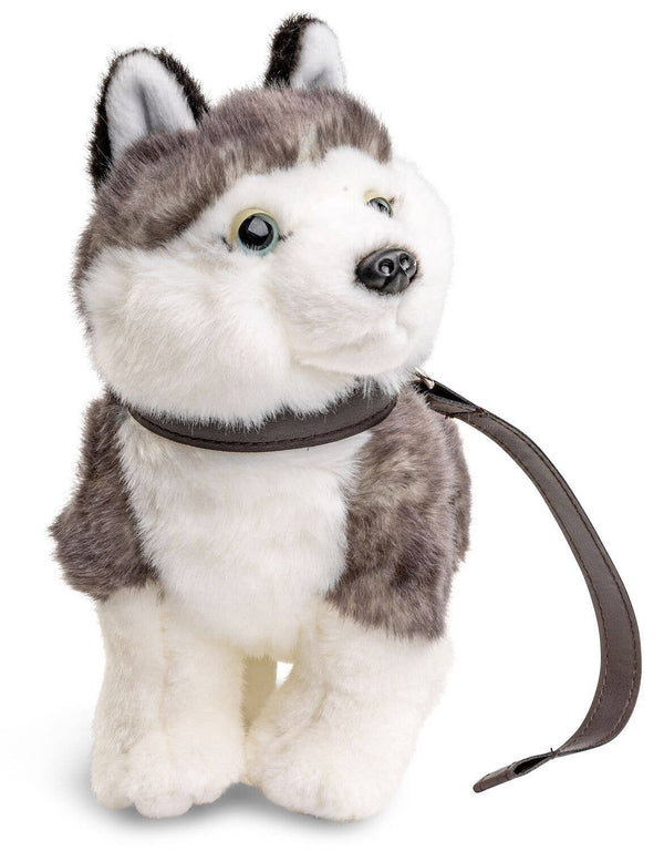 Peluche Chiot Husky avec Laisse Uni Toys