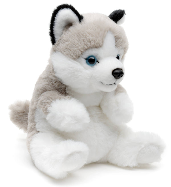 Husky, assis, style kawaii, doudou ou en peluche Uni Toys
