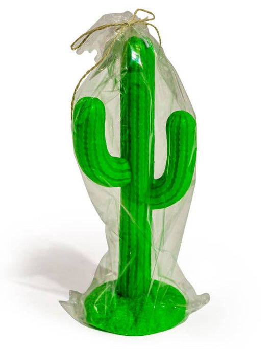 Vela de cactus verde