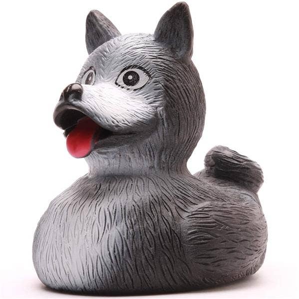 Pato husky
