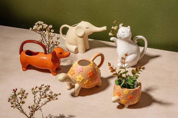 Cache-pot tortue