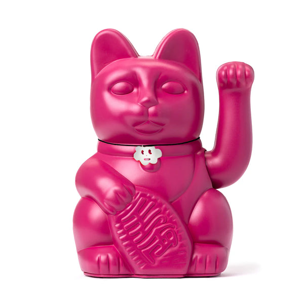 Gatto rosso viola fortunato