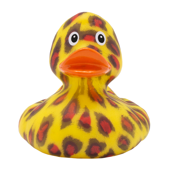 Canard Chat Sauvage Lilalu – référence 2404