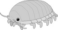 Peluche Sneepsnorp3D
