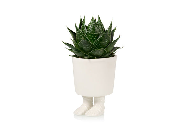 pot de fleur sandales de gladiateur bitten