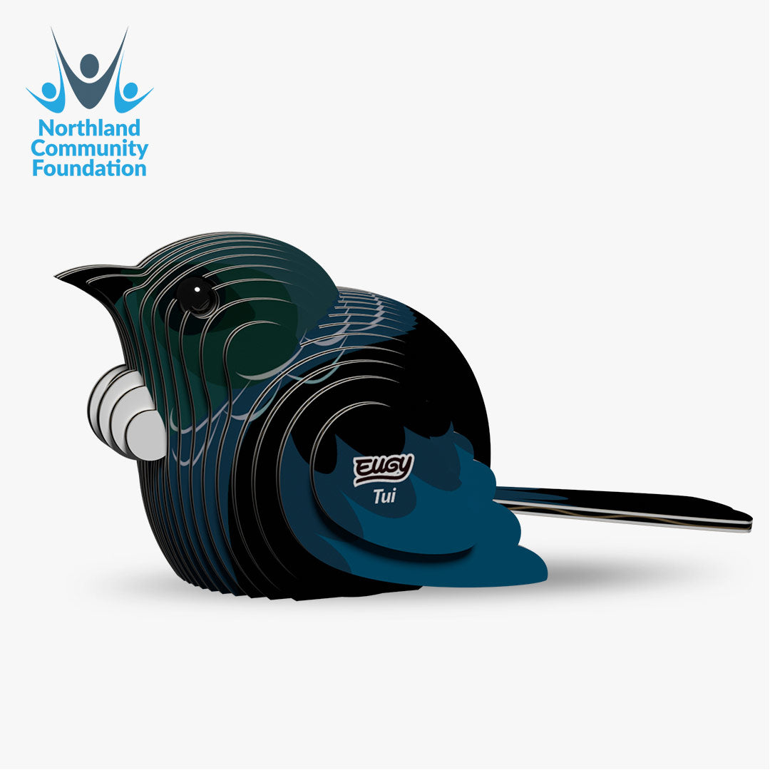 Maquette 3D EUGY 003 Tūī – vue 1
