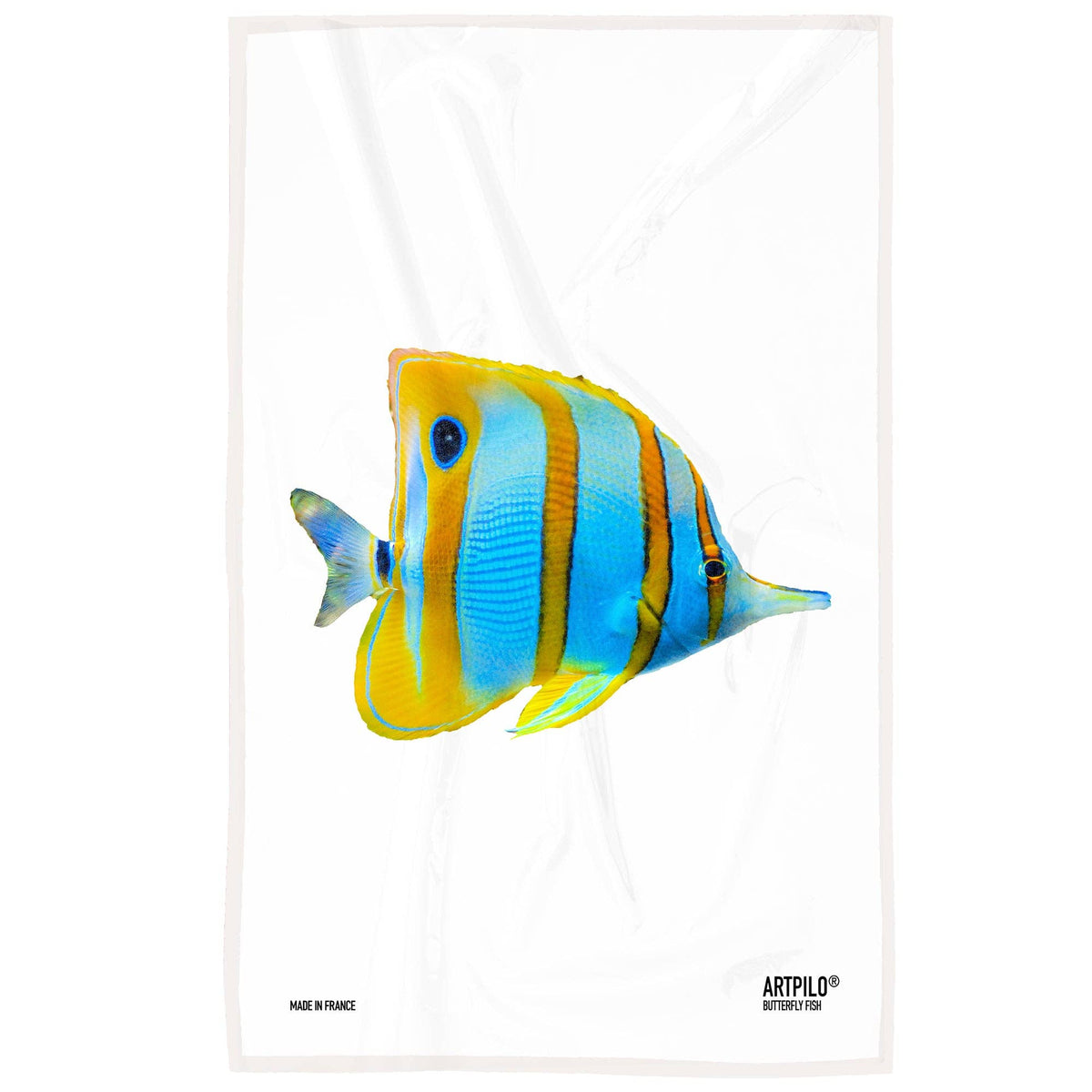 Poisson-papillon