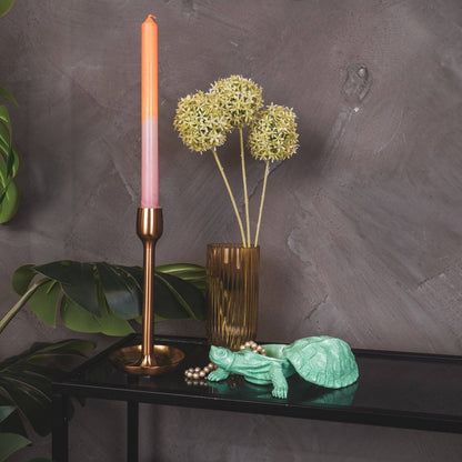 Boîte Tortue - Vert menthe