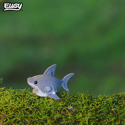 019 Requin