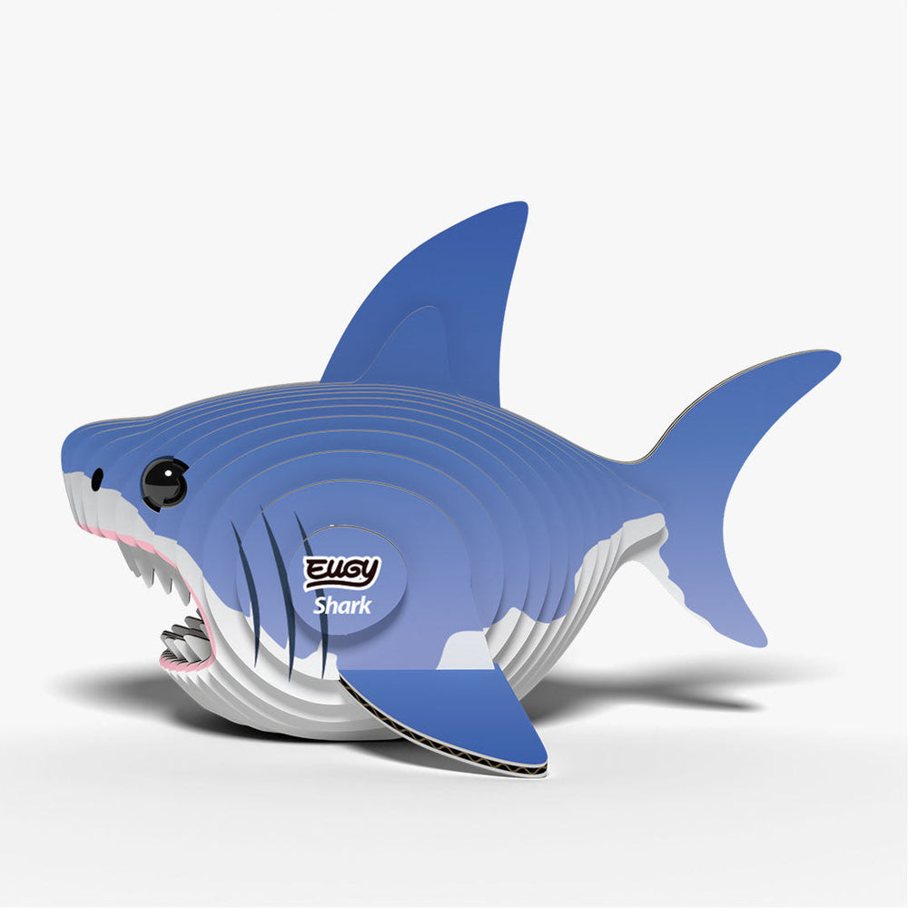 019 Hai