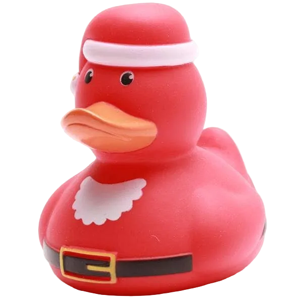 Kerstman Eend