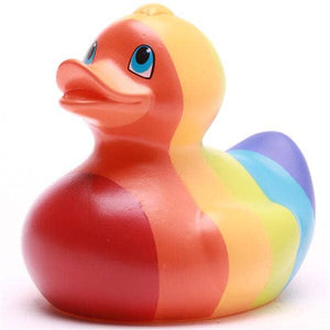 Pato arcoiris