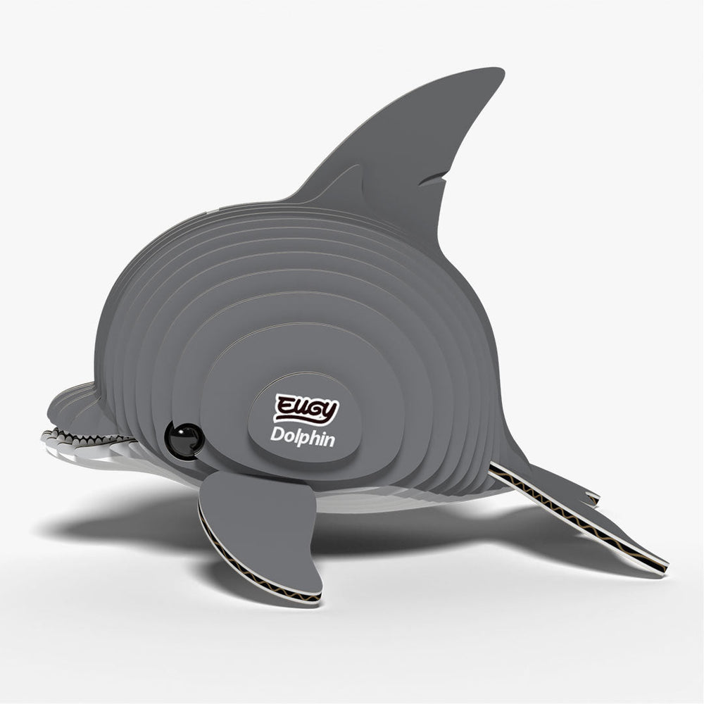 021 Delfino