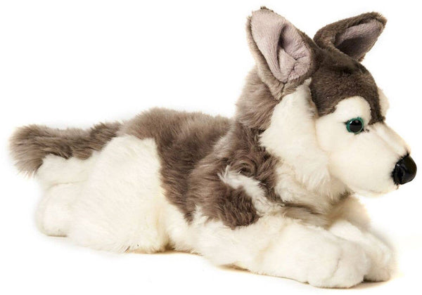 Husky couché - 40 cm (longueur) - doudin/peluche Uni Toys