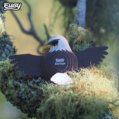 022 Aigle