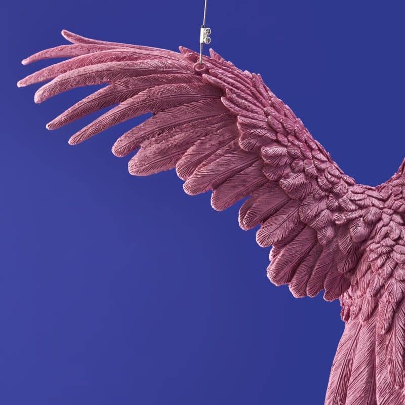 Lámpara de techo Pink Parrot