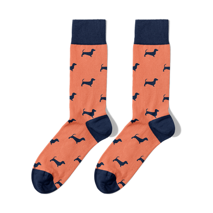 Pack Chaussettes Guau! 🐶💛🐾