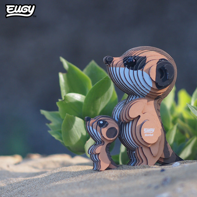 046 Suricate