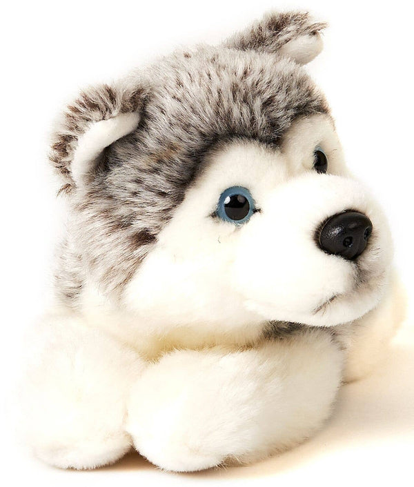 Peluche Chiot husky couché gris Uni Toys