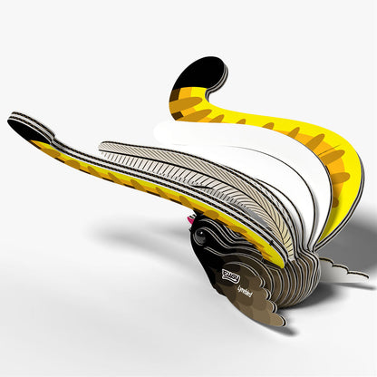 059 Oiseau-lyre