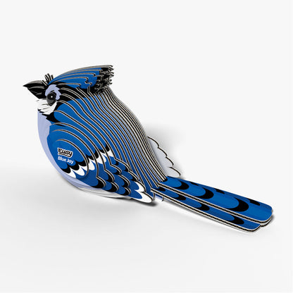 067 Geai bleu