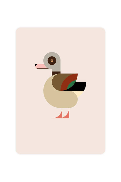 Postcard with Nile Goose