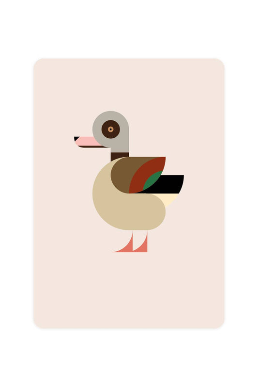 Postcard with Nile Goose