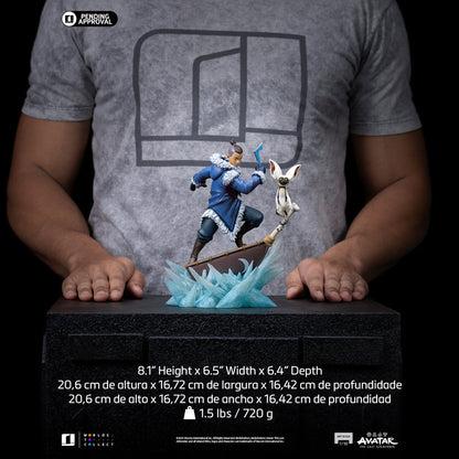 Pre-Order - Sokka Statue - Avatar: The Last Airbender - Art Scale 1/10 - Iron Studios