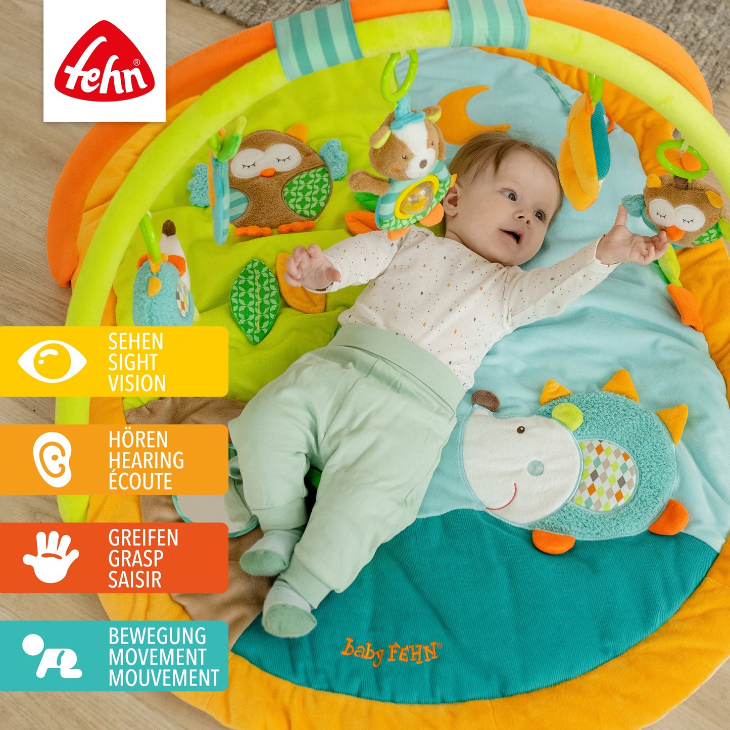 3-D-Activity-Decke Forest
