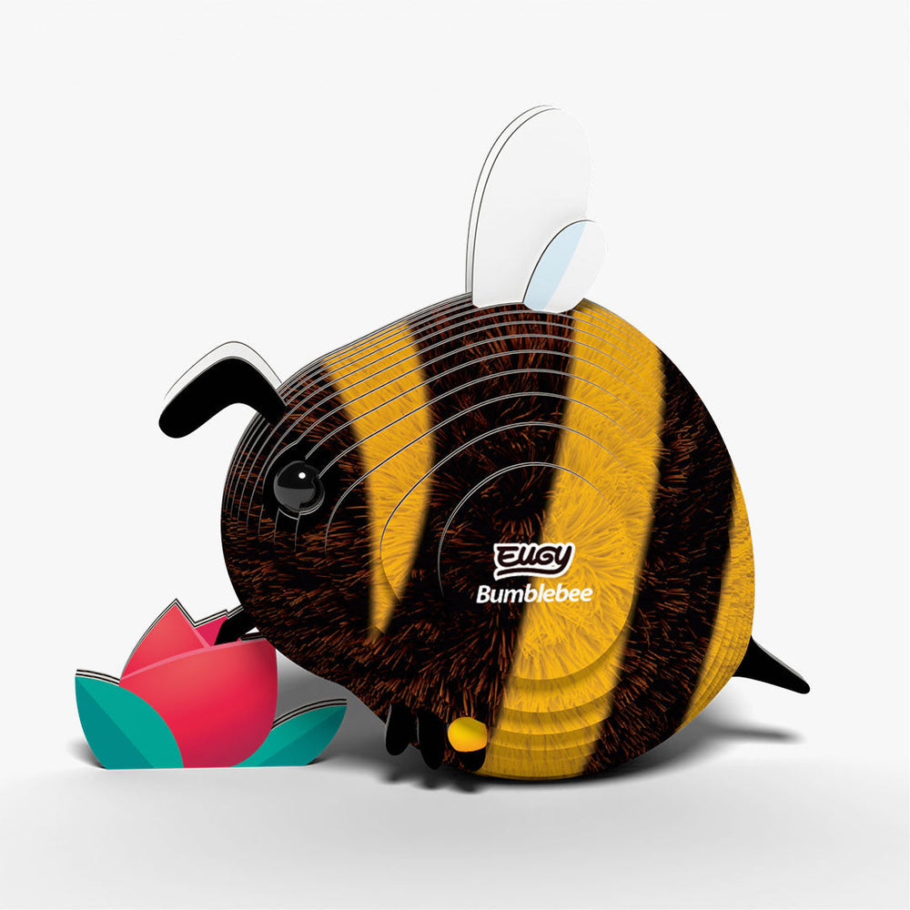 073 Bombo
