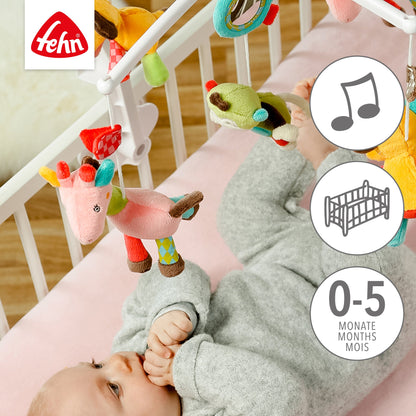 Musik-Mobile Safari