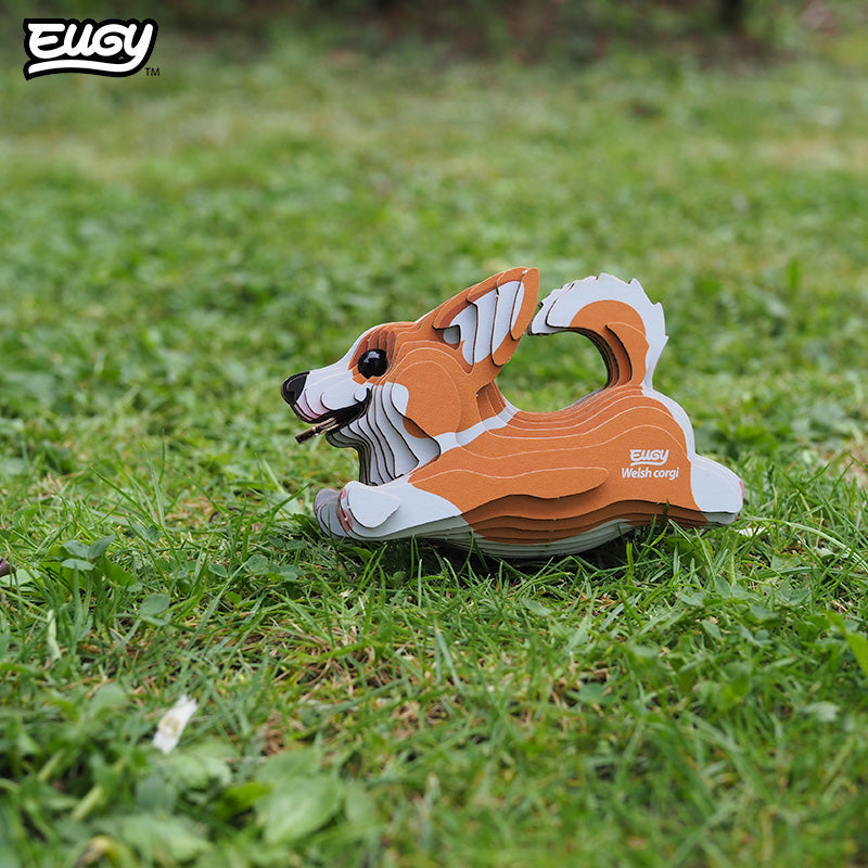 080 Chien Welsh Corgi