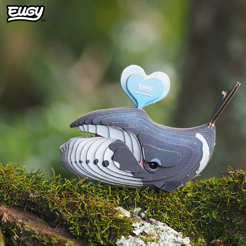 084 Baleine boréale