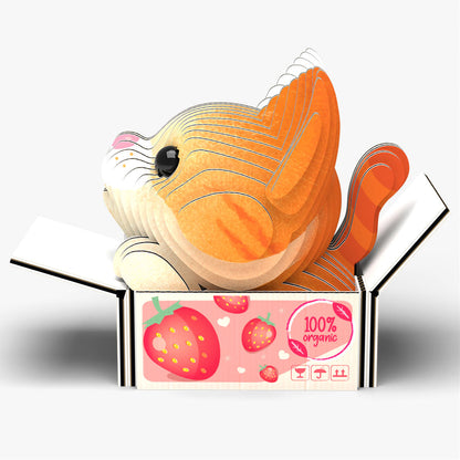 087 Chat Pumpkin