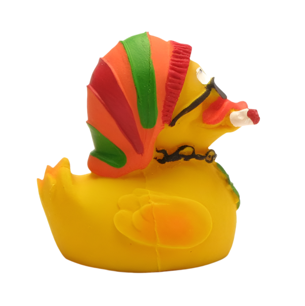 Rasta Duck