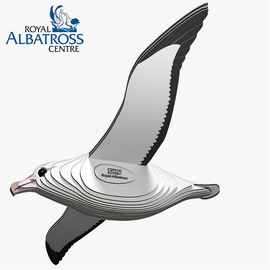 Albatro reale