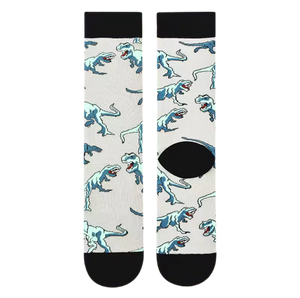 Chaussettes T-Rex