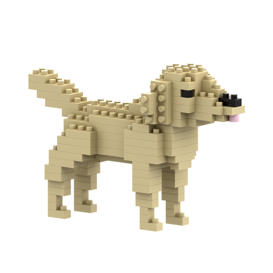 BRIXIES Golden Retriever