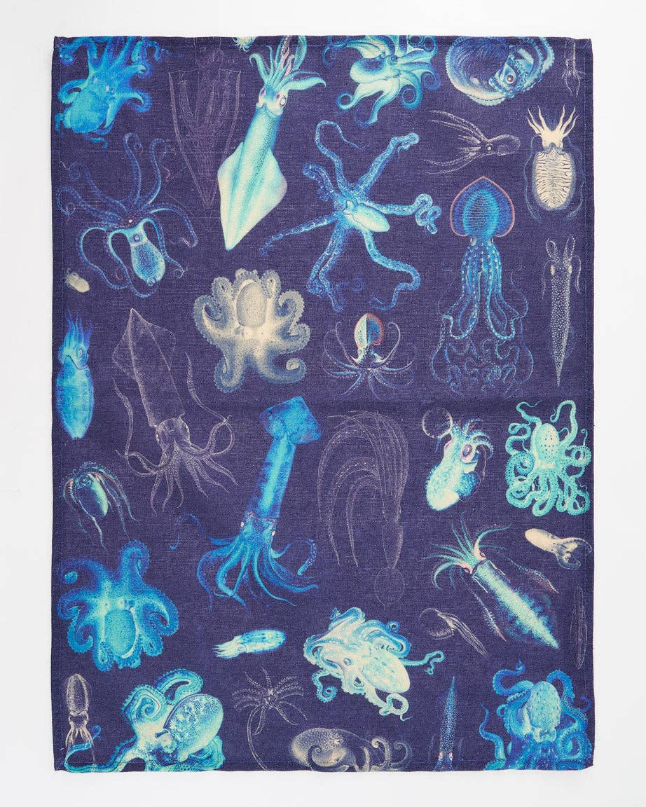 Torchon Pieuvre & Calmar – produit scientifique Cognitive Surplus EU, vue 1