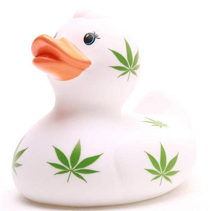 Hoja de cáñamo de pato