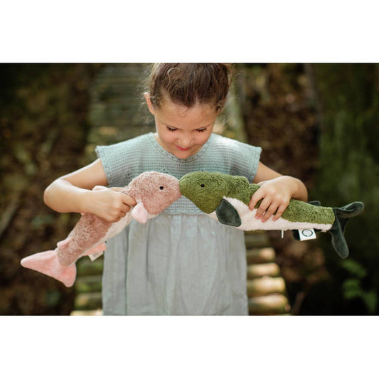 Pequeño y tierno pez abeto verde | Senger-Naturwelt