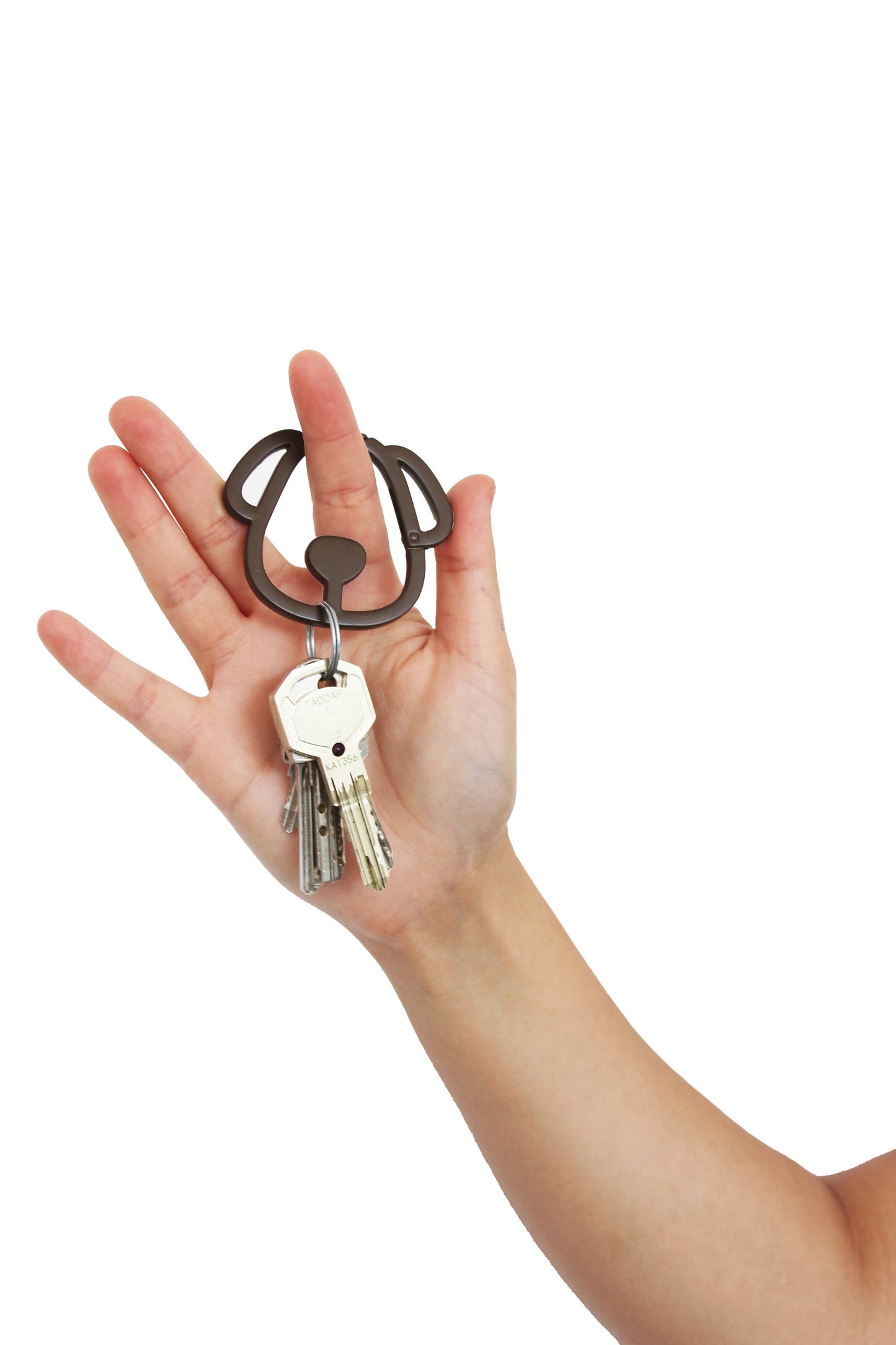 Set of brown/beige dog carabiners