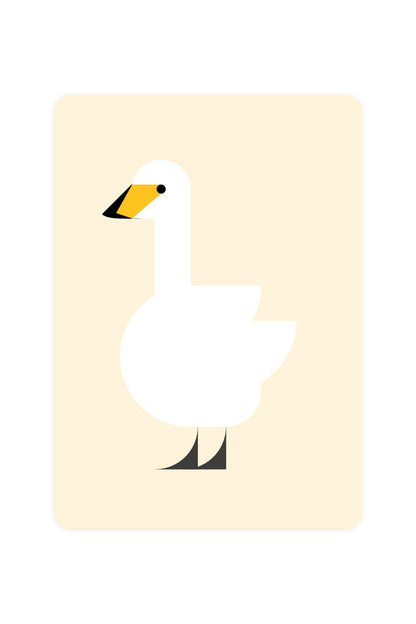 Postal con cisne salvaje