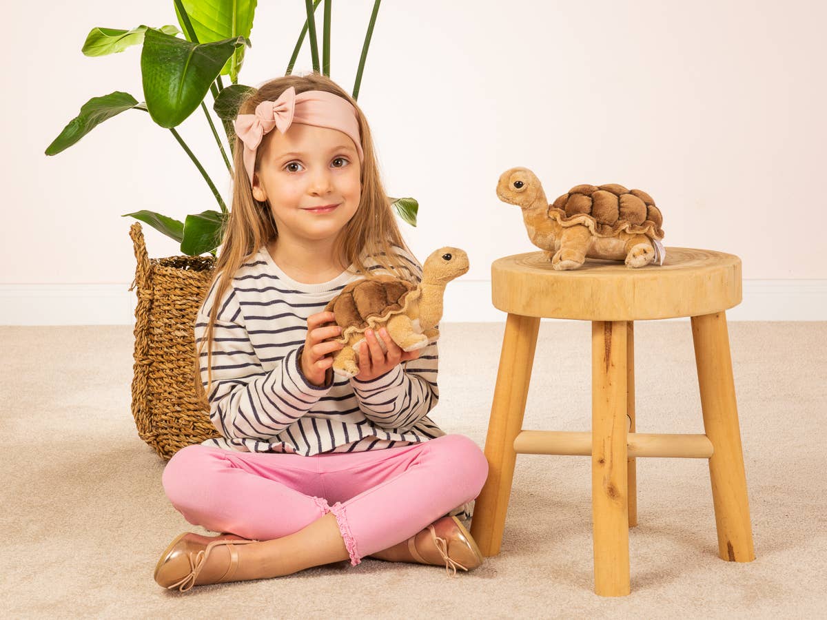 Knuffelschildpad
