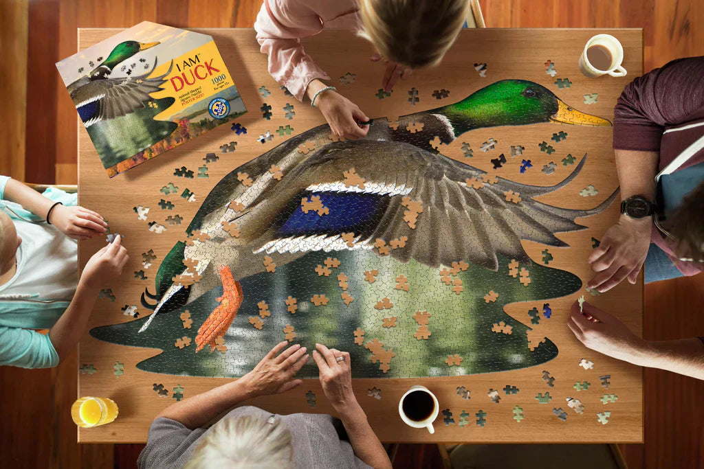 Puzzle I Am - Canard Colvert