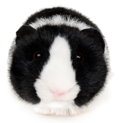 Peluche Cochon d'Inde (noir)