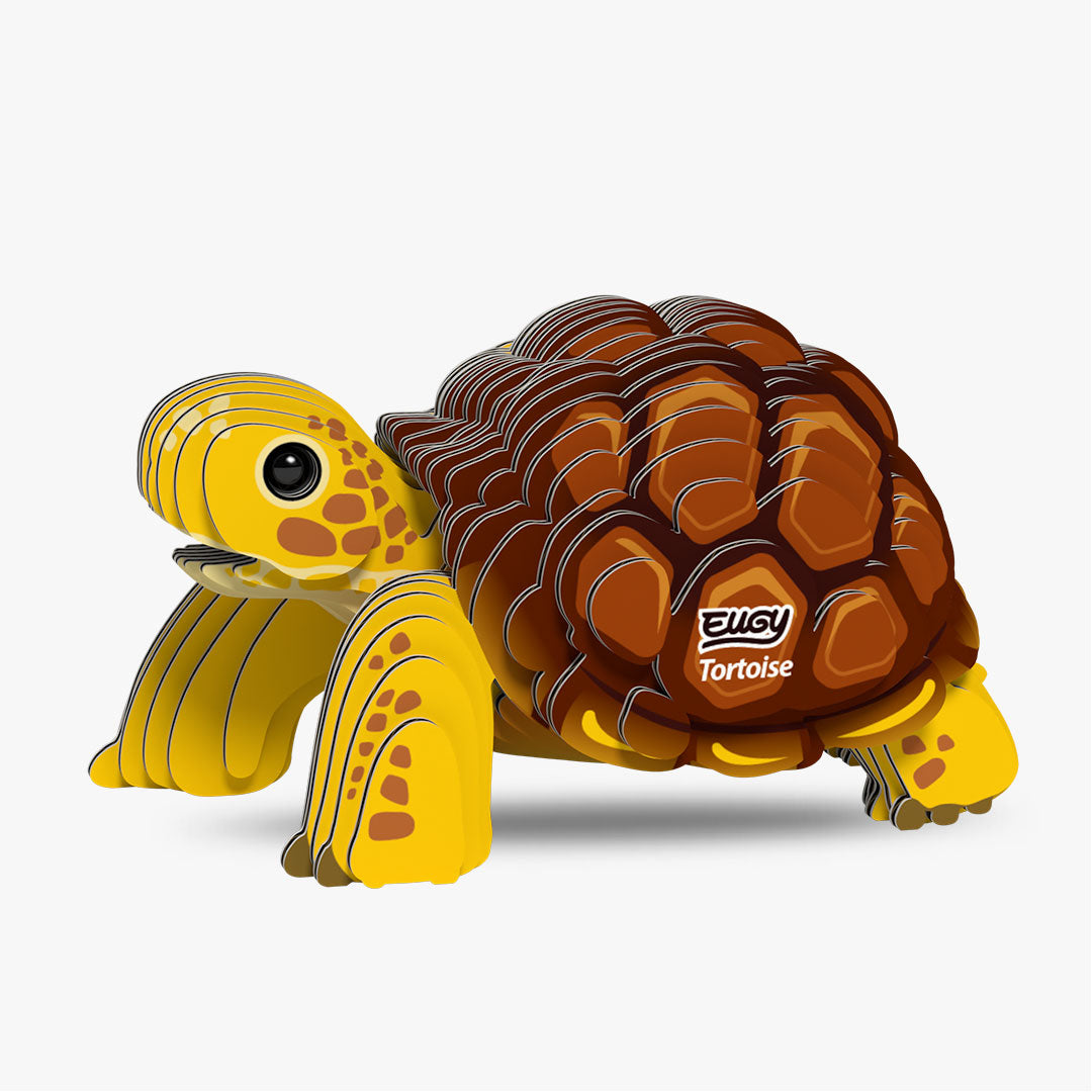 104 Turtle