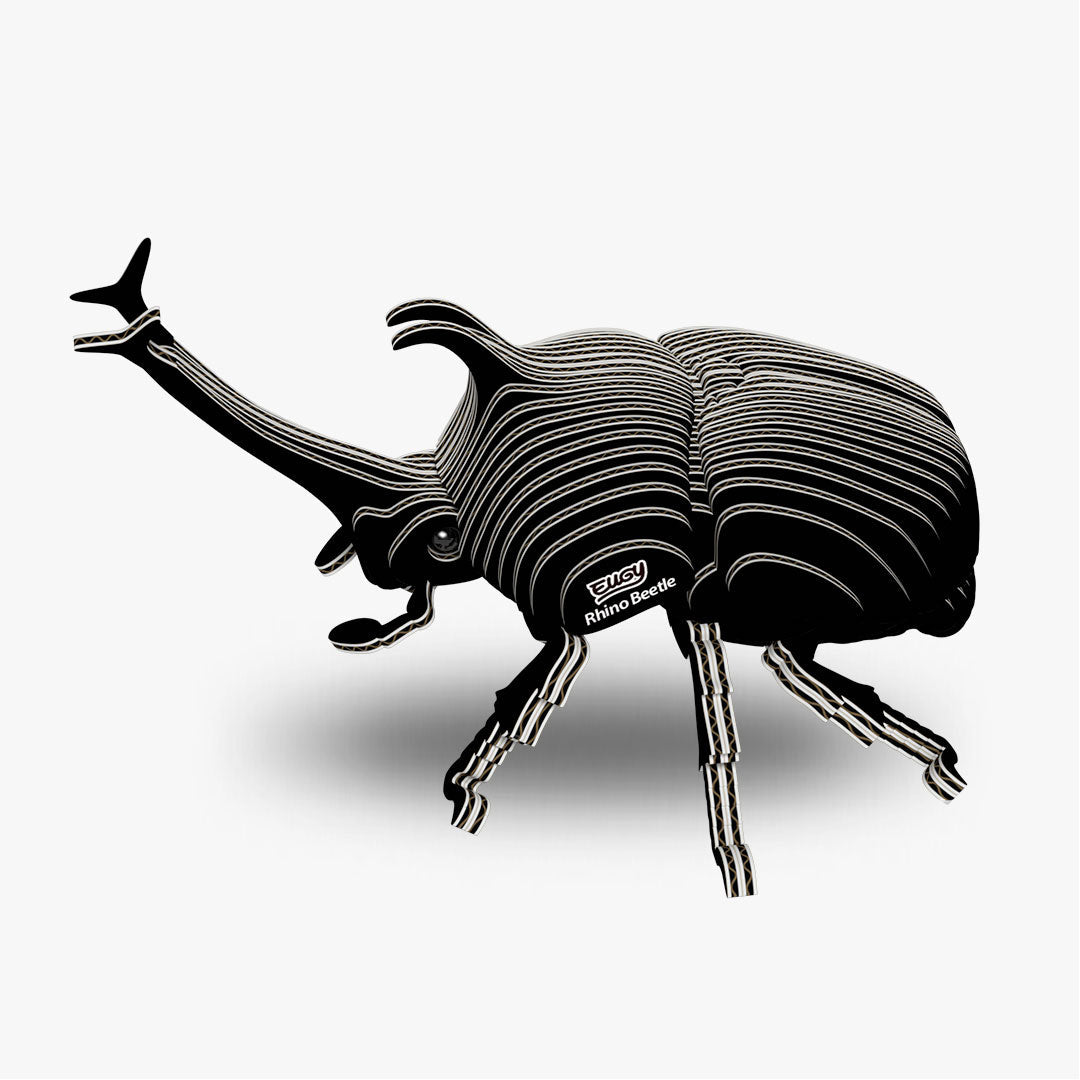 113 Rhinoceros beetle