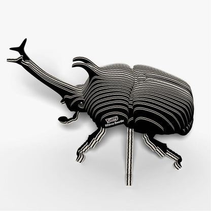 113 Scarabée rhinocéros